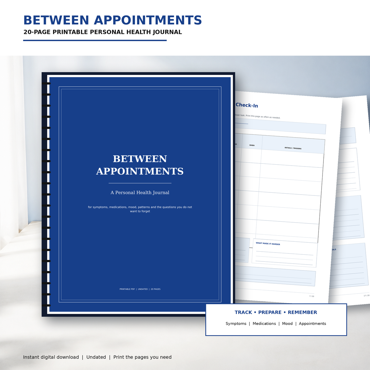 Between Appointments (Journal)